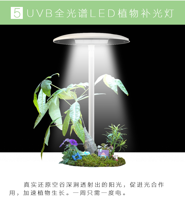 素心智能花盆陶瓷创意爆款个性室内大号防腐永生盆景