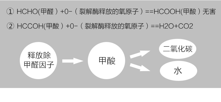 盖锐甲醛魔方去除甲醛新房异味强力家用型清除剂装修除味专利产品