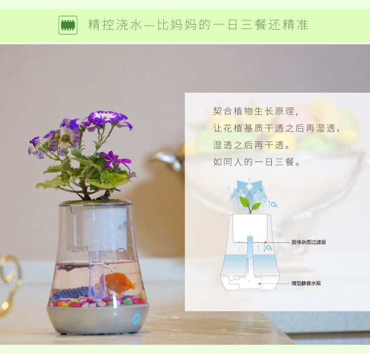 植物智能花盆仿陶瓷塑料简约创意圆形多肉花盆多彩花瓶防腐