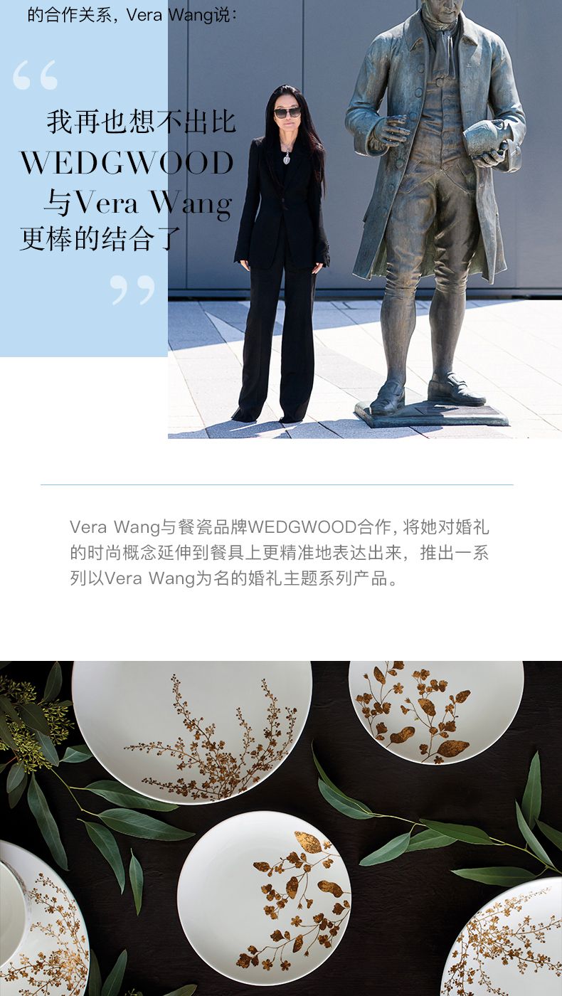 Vera Wang 王薇薇 合作关系