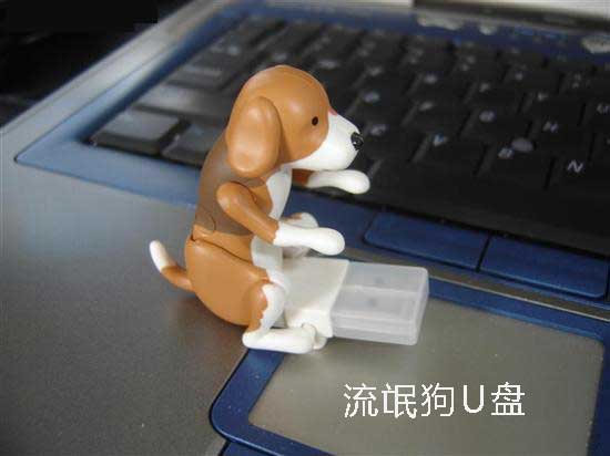 usb 流氓狗